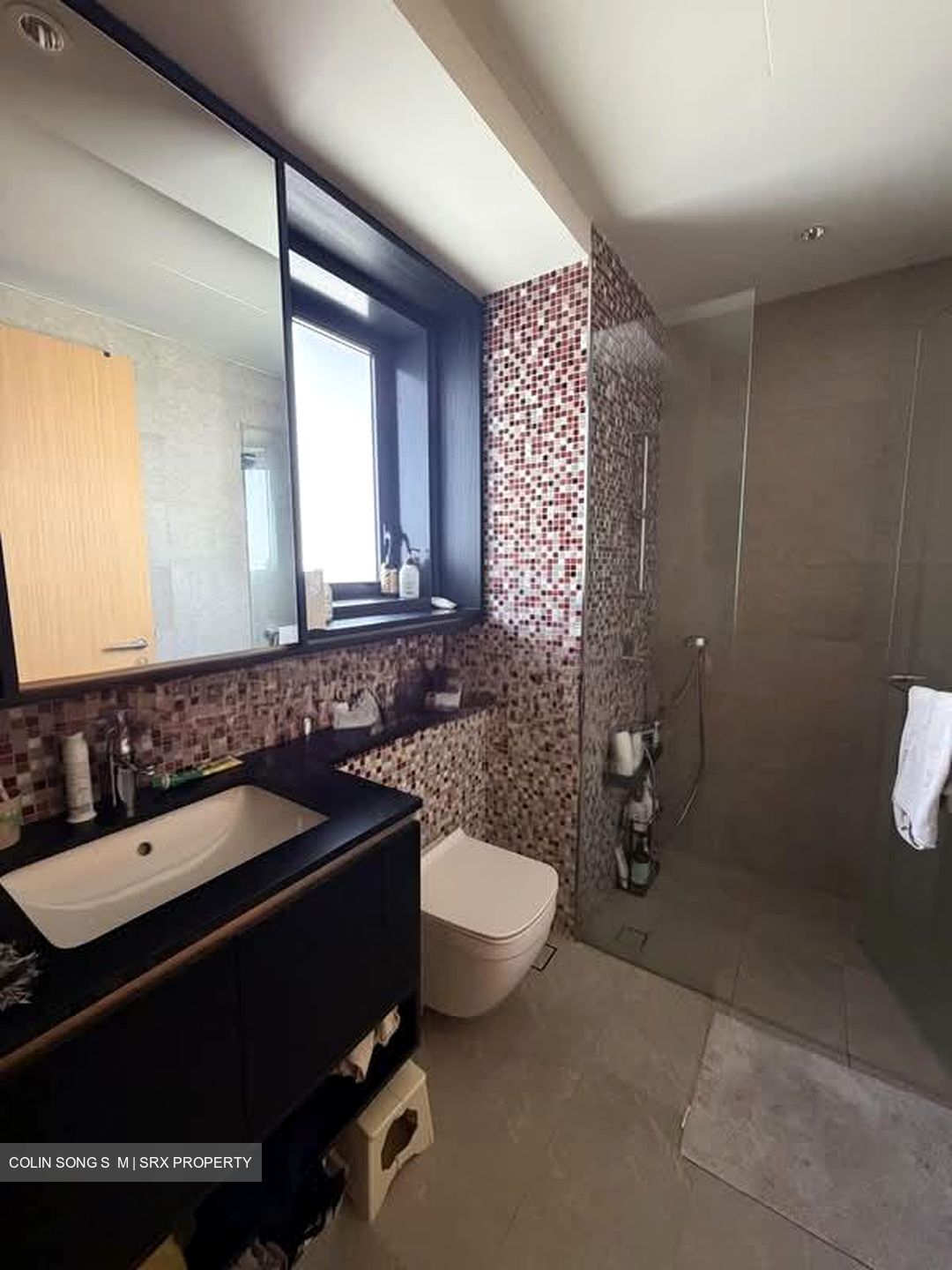 The Antares (D14), Apartment #579184721